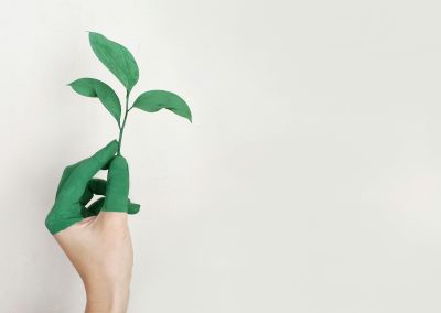 Mentiras insostenibles: realidad vs desinformación